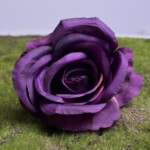 Жовто-фіолетовий