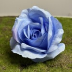 Світло-синій