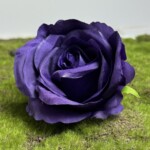 Фіолетовий