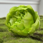 Світло-зелений