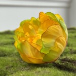 Жовто-зелений