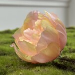 Персиковий