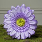 Фиолетовый