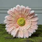 Пастельный