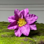 Пурпуровий