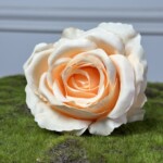 Пастельний