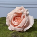 Персиковий