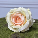 Кремово-рожевий