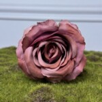 Брудно-рожевий