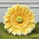 Оранжево желтый