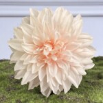 Пастельный