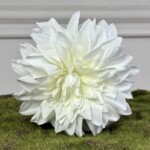 Кремовый