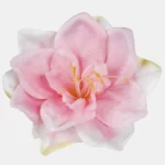 Біло-рожевий